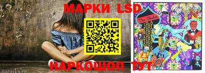 стафф Дубна