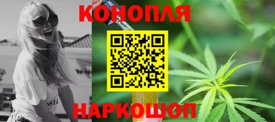 стафф Дубна