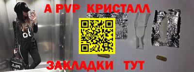 стафф Дубна