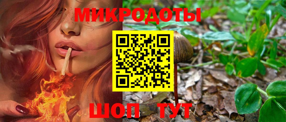 Псилоцибиновые грибы Psilocybine cubensis  Вход с VPN  Галлюциногенные грибы мицелий  сколько стоит  Балашов 